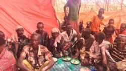 Mootummaa fi Qaamonni Addunyaa Rakkoo Caamaa Hamaa Bulchiinsa Naannoo Somaalee Mudate Irraa Uummata Oolchuuf Carraaqaa Jiran