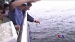 劉曉波骨灰撒入大海 官方拒答問會草草收場 (粵語)