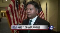 VOA连线：新国会的亚裔新面孔