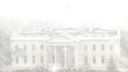 華盛頓雪花紛飛﹑晚冬風雪向北移動