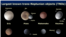 A collection of some of the Trans-Neptunian Objects in the Solar System's outer reaches. Courtesy GSFC/NASA 