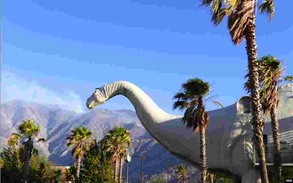 河滨县班宁市南面山区大火星期天已获有效控制（美国之音国符拍摄）