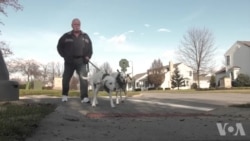 换膝关节的替代方案