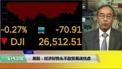VOA连线(方冰)：美股：经济好势头不敌贸易战忧虑