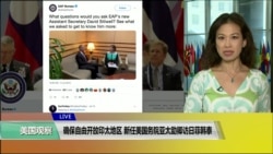VOA连线(张蓉湘)：确保自由开放印太地区，新任美国务院亚太助卿访日菲韩泰