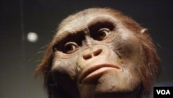 老祖宗露西洛杉矶迎春节