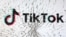 破损玻璃后的TikTok 标识