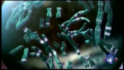 犯罪现场DNA比对技术又有改进