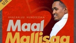 Albamiin Sirbootaa Haaraa Hacaaluun Ajjeesamuu Isaa Dura Qopheessee Torban Dhufu Gadhiifama