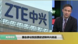 时事看台(萧洵)：国会参议院投票欲逆转中兴命运