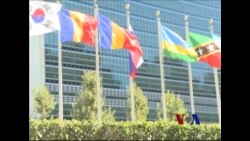 人道团体呼吁增加对叙利亚难民的资助