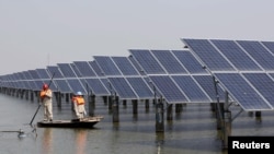 中國江蘇省連雲港一座池塘內的太陽能電池板（2016年3月16日）