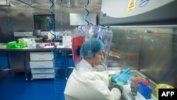 武漢一實驗室的工作人員2017年資料照片.