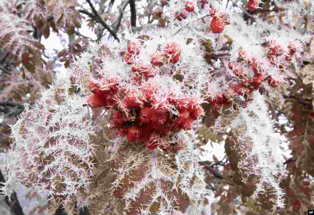 Фото: АР/ Dan Joling