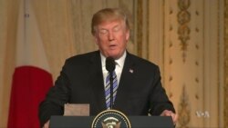 Trump's Chaotic Week: North Korea, Comey and Stormy