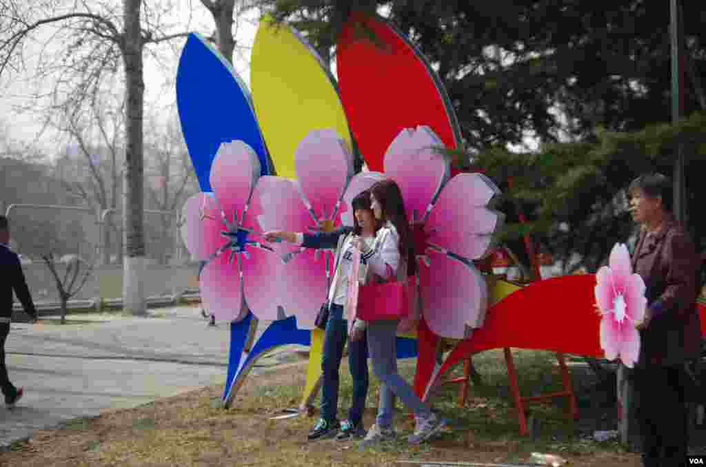 在北京玉渊潭公园的樱花之月，两名赏花女在樱花节宣传招牌前自拍留念 (2016年3月21日，曾谙摄拍摄)