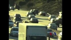 鸟类人字形飞行是为省力