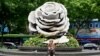 Tượng hoa hồng khổng lồ ở Hà Nội, 25/6/2024. (Photo: Nhac Nguyen/AFP)