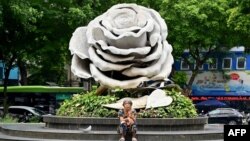 Tượng hoa hồng khổng lồ ở Hà Nội, 25/6/2024. (Photo: Nhac Nguyen/AFP)