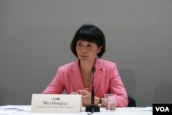 卡内基和平研究所访问学者魏红霞