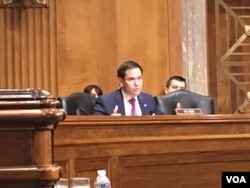 佛羅里達州共和黨籍聯邦參議員魯比奧(美國之音鐘辰芳拍攝)