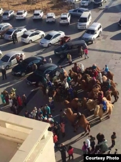 12月17日，内蒙古阿拉善盟额济纳旗牧民骑马和骆驼到旗政府前抗议 (南蒙古人权信息中心提供)