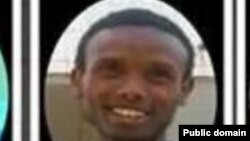 Befiqaaduu Hayiluu, gazexessaa Zone Naayin Bloogersii