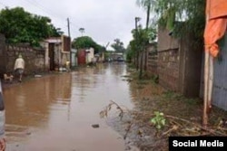 Bokkaa Adaamaatti roobe