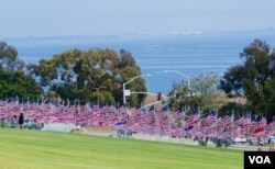 旗海面對平靜的太平洋（美國之音國符拍攝）