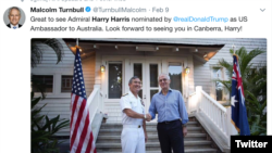 澳大利亚总理曾发推文期待哈里斯担任大使（推特）