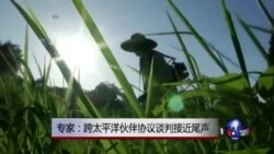 专家：跨太平洋伙伴协议谈判接近尾声