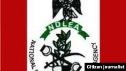 NDLEA 