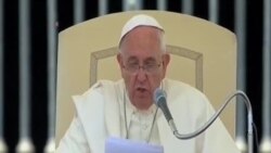 教宗方濟各呼籲天主教徒注重環保