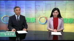 美国观察 2019年5月3日