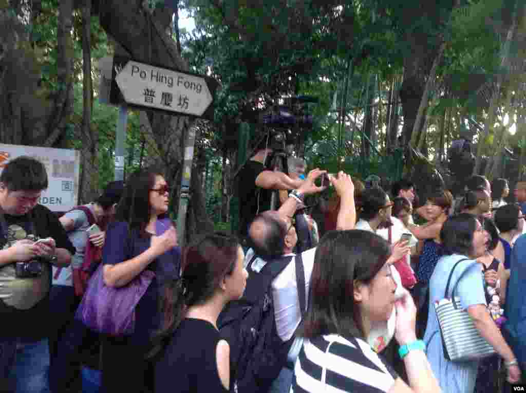 藝人何韻詩辦有種港人音樂會回應恐懼 (美國之音海彥拍攝)