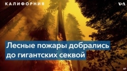 Спасти «Генерала Шермана»