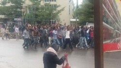 Ajjeechaan Dambi Dolloo Ilaalchisuun Yaadi Qaama Mootummaa Federaalaa fi Kan Naannoo Wal Faallesse