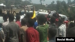 Faayilii - Mormii Oromiyaa 