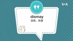 学个词 - dismay