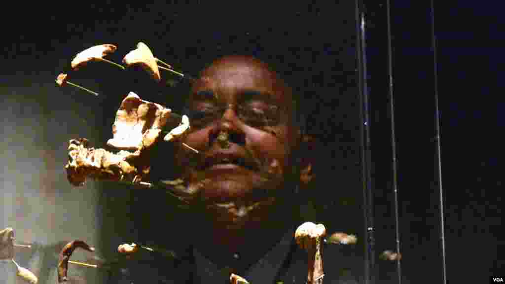 觀眾觀察露西骨骼