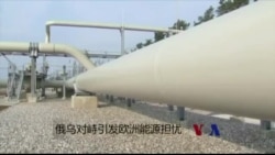 俄乌对峙引发欧洲能源担忧