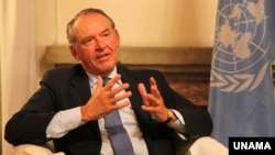 联合国副秘书长埃利亚松。（资料图片）