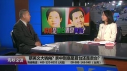 海峡论谈：蔡英文大转向? 亲中到底是爱台还是卖台?