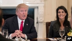 美国总统川普在白宫国宴厅与到访的联合国安理会成员国的代表共进工作午餐。 美国常驻联合国大使妮基·黑利在场（2018年1月29日）