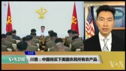 VOA连线(黄耀毅):川普：中国将买下美国农民所有农产