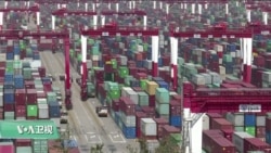 专家视点(林枫)：美中贸易战的涟漪效应