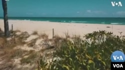 新冠疫情需求銳減 佛州水果蔬菜大面積爛在地裡