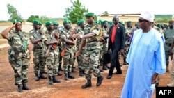 馬里總統檢視軍隊