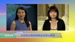 VOA连线：众议院少数党领袖会见昂山素季