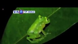 VOA國際60秒(粵語): 2014年03月05日